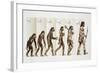 Hominid Evolution Through Time-null-Framed Giclee Print