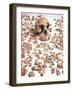 Hominid Fossil Skull 1470-John Reader-Framed Photographic Print