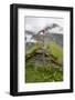 Homlongsaetra Mountain Farm, Geirangerfjorden Near Geiranger, UNESCO Site, More Og Romsdal, Norway-Gary Cook-Framed Photographic Print