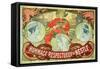 Hommage Respectueux De Nestle, 1897-Alphonse Mucha-Framed Stretched Canvas