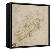 Homme barbu et au nez courbé-Leonardo da Vinci-Framed Stretched Canvas