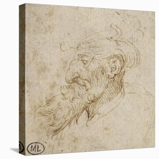 Homme barbu et au nez courbé-Leonardo da Vinci-Stretched Canvas