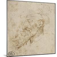 Homme barbu et au nez courbé-Leonardo da Vinci-Mounted Giclee Print
