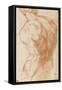 Homme nu, vu à mi-corps, de dos-Andrea del Sarto-Framed Stretched Canvas