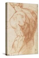 Homme nu, vu à mi-corps, de dos-Andrea del Sarto-Stretched Canvas
