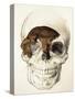 Homo Antecessor Fossil-null-Stretched Canvas