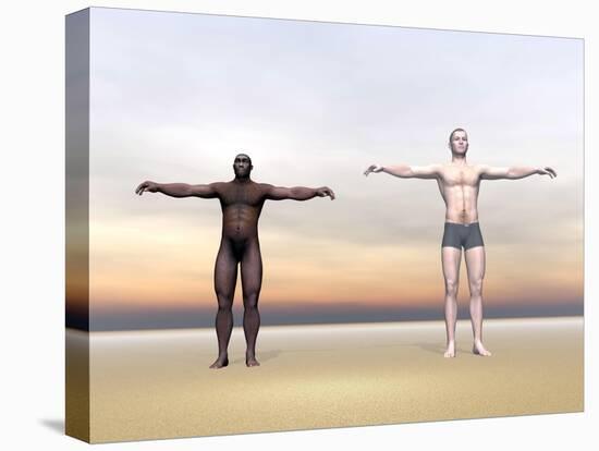 Homo Erectus Man Next to Modern Human Being-null-Stretched Canvas