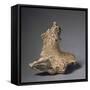 Homo Erectus' Pelvic Bone Fragments-null-Framed Stretched Canvas