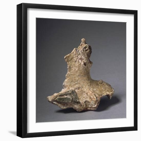 Homo Erectus' Pelvic Bone Fragments-null-Framed Giclee Print