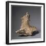 Homo Erectus' Pelvic Bone Fragments-null-Framed Giclee Print