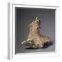 Homo Erectus' Pelvic Bone Fragments-null-Framed Giclee Print