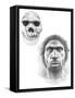 Homo Heidelbergensis Skull And Face-Mauricio Anton-Framed Stretched Canvas