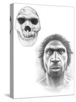 Homo Heidelbergensis Skull And Face-Mauricio Anton-Stretched Canvas