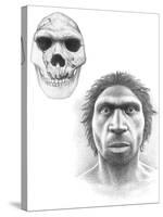 Homo Heidelbergensis Skull And Face-Mauricio Anton-Stretched Canvas