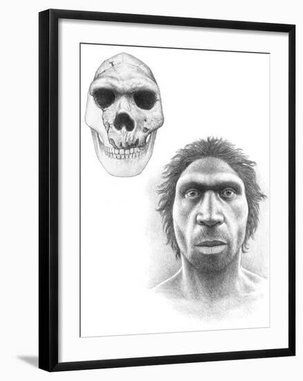 Homo Heidelbergensis Skull And Face-Mauricio Anton-Framed Photographic Print