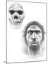 Homo Heidelbergensis Skull And Face-Mauricio Anton-Mounted Photographic Print