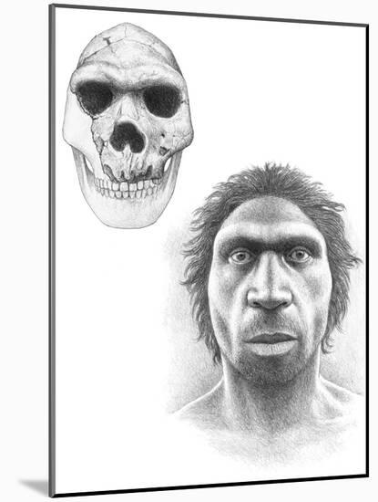 Homo Heidelbergensis Skull And Face-Mauricio Anton-Mounted Photographic Print