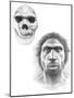 Homo Heidelbergensis Skull And Face-Mauricio Anton-Mounted Photographic Print