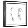 Homology (Of Commmon Descen), C1920-null-Framed Giclee Print