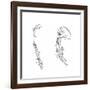 Homology (Of Commmon Descen), C1920-null-Framed Giclee Print