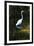 Homosassa Springs State Park, Florida: a Great Egret Fishes in the Water-Brad Beck-Framed Photographic Print