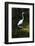 Homosassa Springs State Park, Florida: a Great Egret Fishes in the Water-Brad Beck-Framed Photographic Print