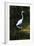 Homosassa Springs State Park, Florida: a Great Egret Fishes in the Water-Brad Beck-Framed Photographic Print