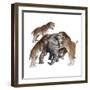 Homotherium Sabretooth Cats and Prey-null-Framed Photographic Print