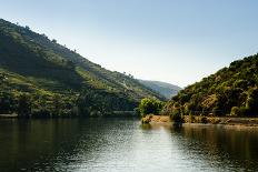 Vineyars in Douro Valley-homydesign-Framed Photographic Print