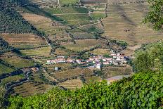 Vineyars in Douro Valley-homydesign-Framed Stretched Canvas