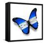 Honduras Flag Butterfly, Isolated On White-suns_luck-Framed Stretched Canvas