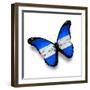 Honduras Flag Butterfly, Isolated On White-suns_luck-Framed Premium Giclee Print