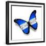 Honduras Flag Butterfly, Isolated On White-suns_luck-Framed Premium Giclee Print