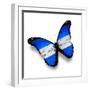 Honduras Flag Butterfly, Isolated On White-suns_luck-Framed Premium Giclee Print