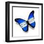 Honduras Flag Butterfly, Isolated On White-suns_luck-Framed Art Print