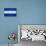 Honduras Flag Design with Wood Patterning - Flags of the World Series-Philippe Hugonnard-Mounted Art Print displayed on a wall