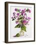 Honesty-Christopher Ryland-Framed Giclee Print