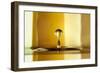 Honey and caramel-Heidi Westum-Framed Photographic Print