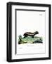 Honey Badger-null-Framed Premium Giclee Print