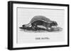 Honey Badger-null-Framed Art Print