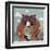 Honey bear-Anna Polanski-Framed Art Print