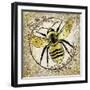 Honey Bee 02-LightBoxJournal-Framed Premium Giclee Print