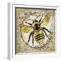 Honey Bee 02-LightBoxJournal-Framed Premium Giclee Print