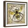 Honey Bee 02-LightBoxJournal-Framed Giclee Print