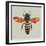 Honey Bee, 2010-Sarah Hough-Framed Giclee Print