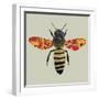 Honey Bee, 2010-Sarah Hough-Framed Giclee Print