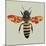 Honey Bee, 2010-Sarah Hough-Mounted Giclee Print