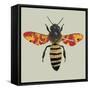 Honey Bee, 2010-Sarah Hough-Framed Stretched Canvas
