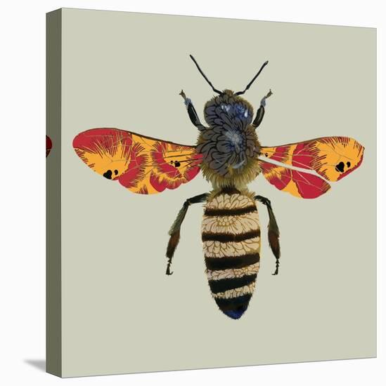 Honey Bee, 2010-Sarah Hough-Stretched Canvas