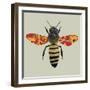 Honey Bee, 2010-Sarah Hough-Framed Premium Giclee Print